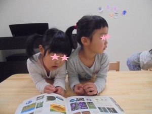 DSC07641