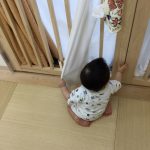 雨の日のだいち