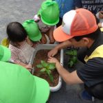 幼児クラス　夏野菜の苗植え