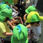 野菜の苗植え：そら組