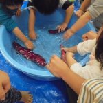 食育　さつまいも洗い