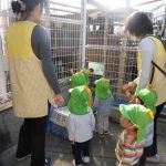 そよかぜさんのおさんぽ！