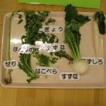 食育「七草粥」・・・うみ、そら、たいよう組