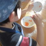 ２月２５日　食育活動