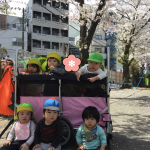 桜を見に行ったよ！　そよかぜ組
