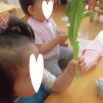 これは小松菜です！