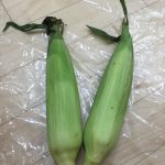 トウモロコシの皮むき☆ふたば