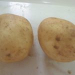 ７月８日　食育活動！