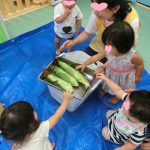 だいちぐみ☆とうもろこしの皮むき☆