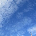１２月５日　体操運動活動！
