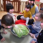 大きなお野菜さわったよ！