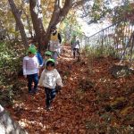 たいよう組、公園でたくさん遊ぶよ