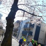 うみ、そら組　お花見