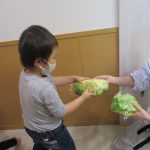 キャベツちぎりをしました～うみ組～