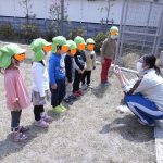 幼児クラスのジャガイモ植え！