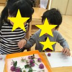 にじいろ保育園二子新地　押し花♪