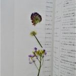 にじいろ保育園二子新地　押し花完成♪