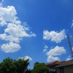 ５月２９日　良い天気！