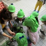 野菜の苗を植えたよ