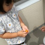 トマトジャム