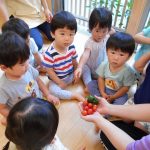 そよかぜ組 野菜の収穫をしたよ♪