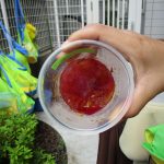 氷あそび～そら・たいよう～