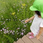 ふたば　☆区役所にお散歩だ―☆