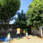 ８月２０日　虫とりしよう！