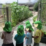 しゃぼんだま