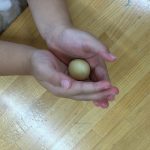 お月見だんごを作りました！
