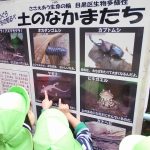 うみ組の散歩