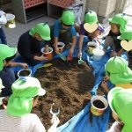 たいよう組　　チューリップの球根植え