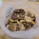 ふたば組:11月製作