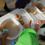 食育活動