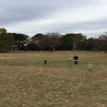 そよかぜ組　少し遠出を始めました