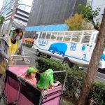 初めてのお散歩