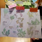 1月7日：春の七草