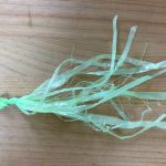 たいよう組　「静電気あそび」