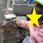 だいち組のお散歩　1月15日