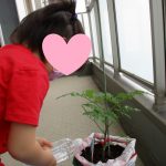 土曜保育の様子