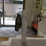 蝶々の羽化