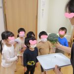 お野菜紹介～ブロッコリー～