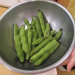 「たいよう組　そらまめの皮むき」