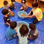 たいよう組じゃがいも洗い