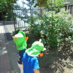 そよかぜ組：公園へのお散歩