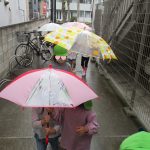 ＊雨です＊