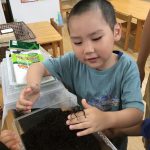 カブト虫が羽化しました！