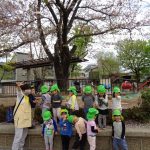 お花見に出かけたよ！