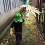 諏訪神社☆ふたば