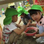 乳児クラス　園庭あそび